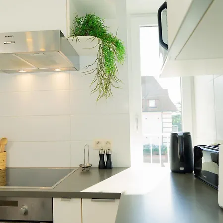 Noah * Кнокке-Хейст